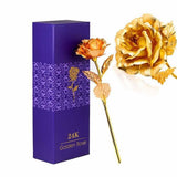 24K Forever Gold Rose