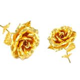 24K Forever Gold Rose