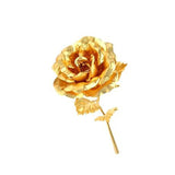 24K Forever Gold Rose